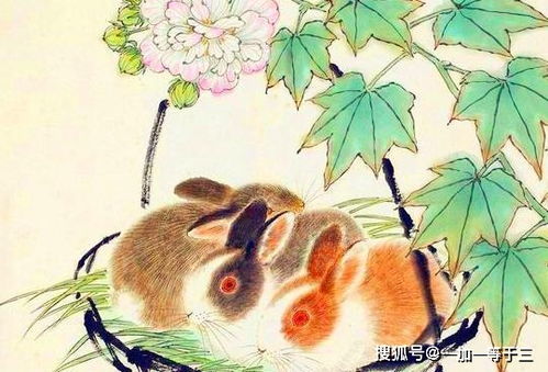 命运多舛的兔兔人生：30岁后为啥这么惨？
