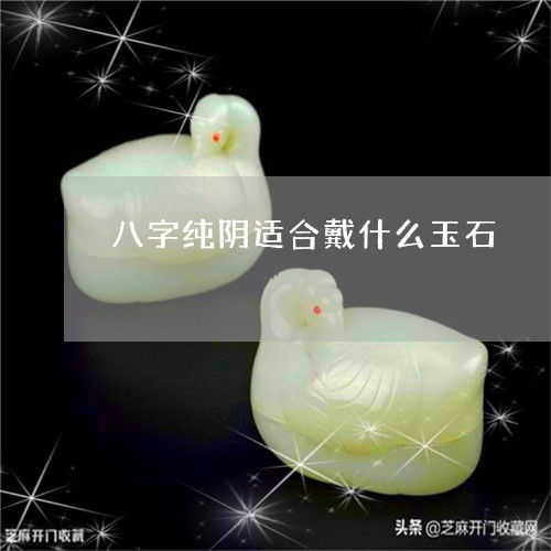 八字纯阴适合戴什么,八字阴木适合什么职业