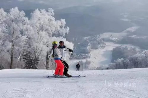 3. 哈尔滨冰雪巨大世界：冰雕亮瞎你的眼