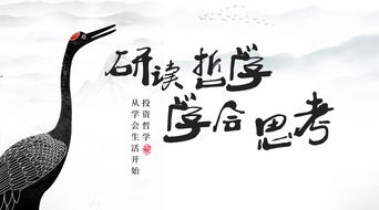 十神正官运：风雨飘摇中的稳健力量