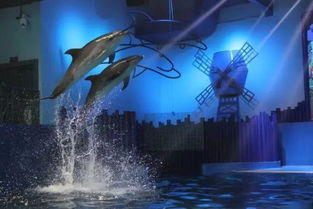 亲子互动，共享欢乐时光