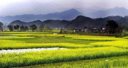 探访花香村， 尽享绝美风光