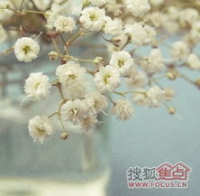 星座女生的那些事儿：爱得死去活来还是作天作地？