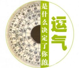 女命八字中月柱乙卯意味着什么？