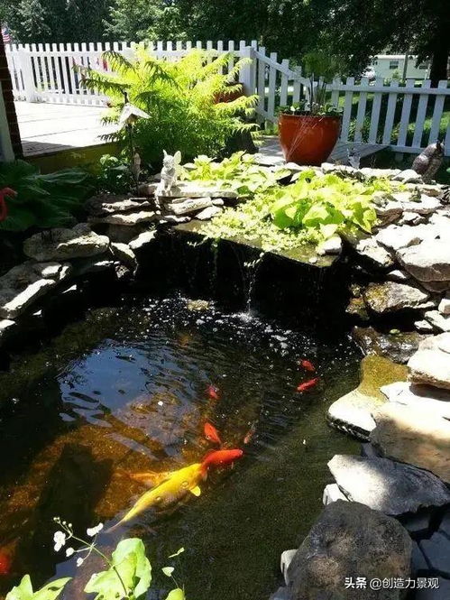 各种鱼塘的风水寓意,各种鱼塘的风水寓意和象征