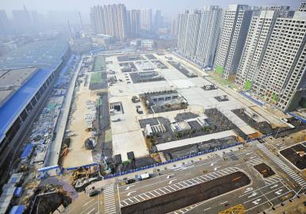 深扒山东交通：那些隐藏的“坑”