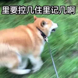 镜子的禁忌