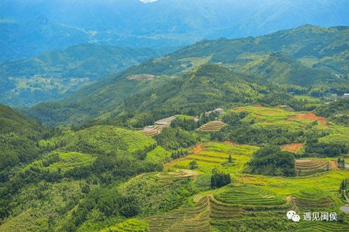 一、夏日雪峰山的奇葩开场白——你真的准备好了吗？
