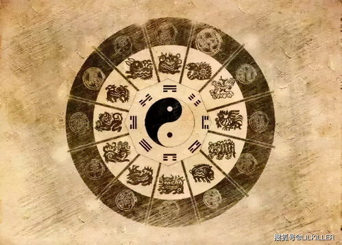 宋韶光2025蛇年十二生肖运势分析具体内容是什么？