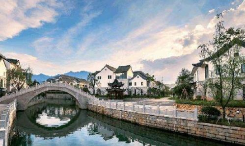 民宿老板娘的故事