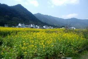 秋天才是婺源的王道季节