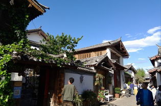 春日里的丽江：一场视觉与心灵的盛宴
