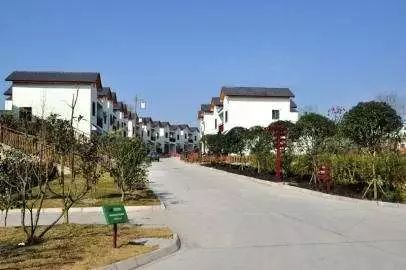 三、转型潜力：从医疗服务场所到旅行目的地