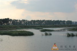 a) 辽河七星湿地滨水路 —— 水鸟+雾凇+GPS漂移