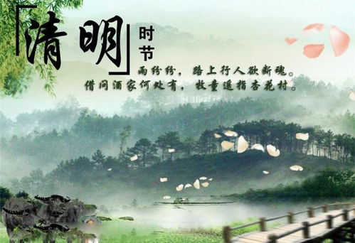 清明时节雨纷纷