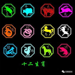 鼠鼠祟祟的一年