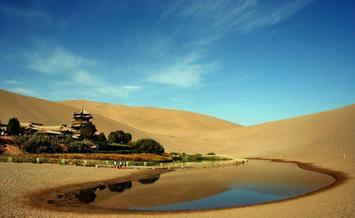 真实案例：2023年游客的深度体验