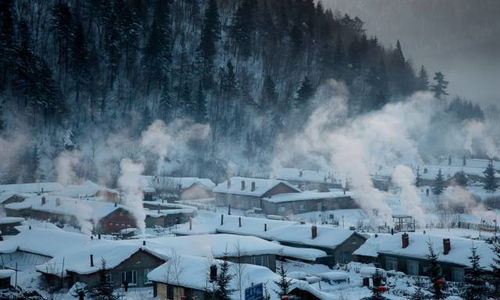 第三章：青山沟——白雪中的诗意乱入