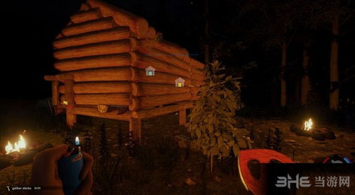 午夜时分， 幽暗森林中的禁忌之地