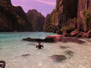 游船体验：水上漂着看