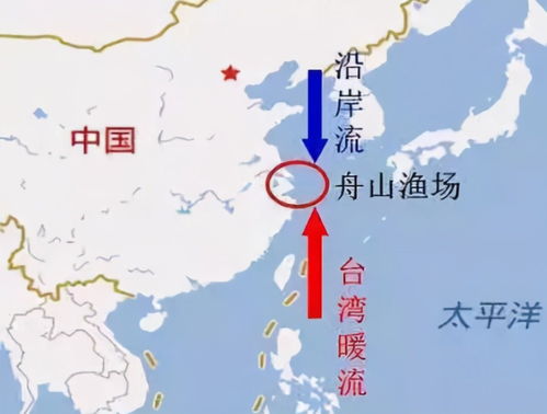舟山这破地方   海比天还蓝   fish比人心还金贵