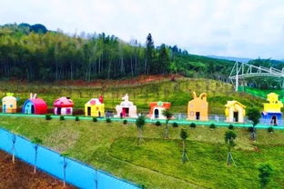 一场说走就走的旅行？嗯…其实得提前订