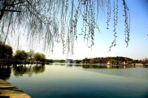 二、路途中的风景与噪音