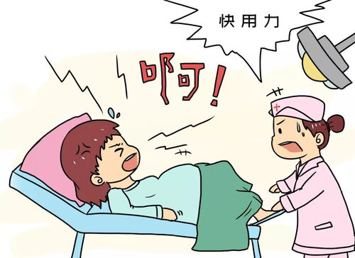 震惊！2026年龙宝宝出生必看的玄学指南