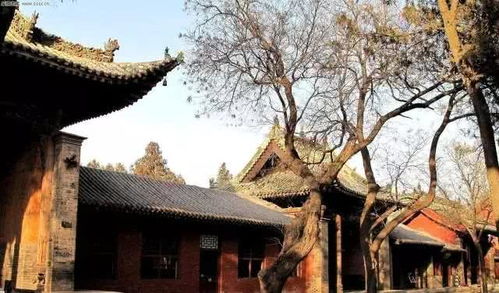 江北那些让人笑掉大牙的祝寿习俗