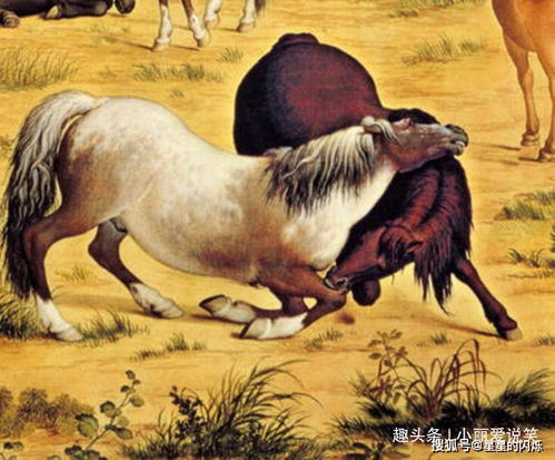 1978年出生属马的女士，晚年更换六合手机号，有什么推荐吗？