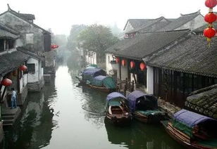 夏天的水乡风情？