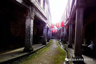 清明夜，墓碑旁