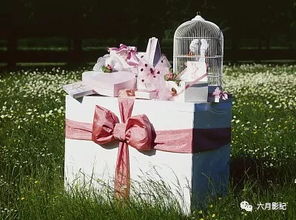 天啊！2026年结婚的人有福了！这些摆件能让你婚姻爆炸甜蜜