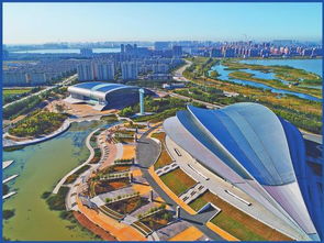 较大庆：从黑土地到石油奇迹的传奇