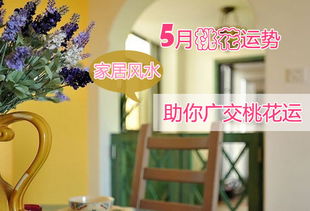 添丁的风水,2016添丁风水