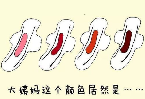 2）子宫器质性病变——坚硬邦邦的不安分