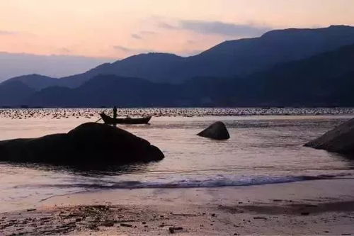 黄岐半岛2026年运势：赶海不如赶鬼