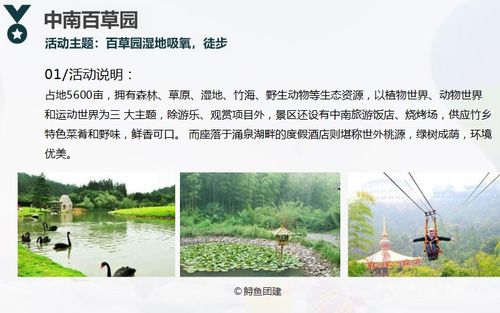 噪音提示：施工声+鸡叫+羊鸣交织成交响曲