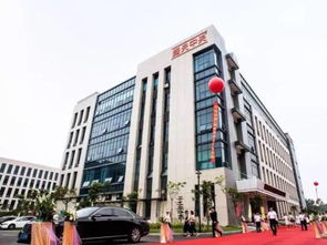 哇塞！深圳这些鬼地方居然也能玩？物流园暴走全记录