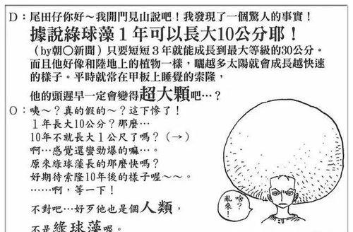 五行相生相克的启示