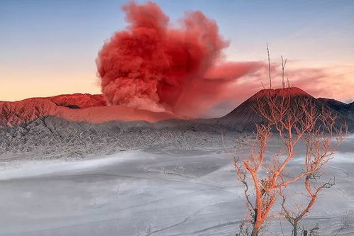 ② 郴州粉色火山艺术节——刷屏必打卡（真的有粉色火山）