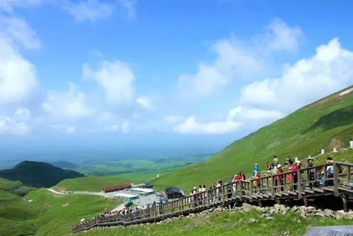 4.1 官厅豆腐—白如雪、软如棉、臭如袜子？