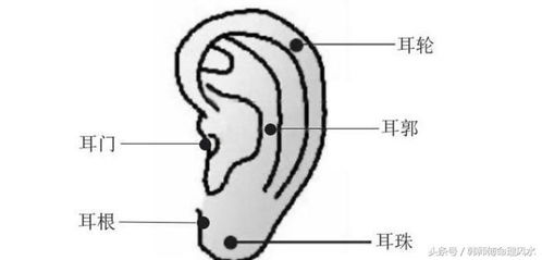 1.1 高鼻粱到底长什么样？你真的了解吗？