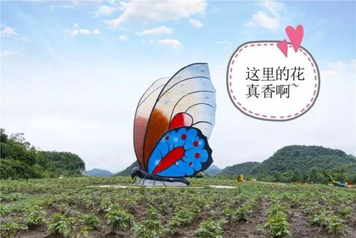 前言：热不热？热就对了！