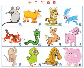 蛇：钱多事少？想得美