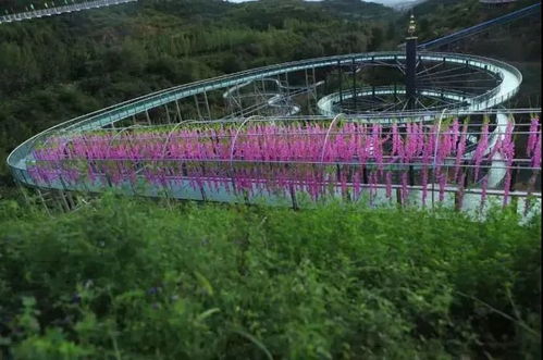 一、先别慌——东升车站到底是啥？
