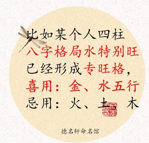 沐轩的历史持续发展渊源：文化底蕴传承的见证