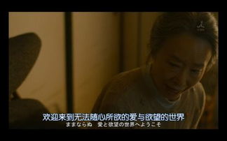 2. 情感共振：两个人的呼应