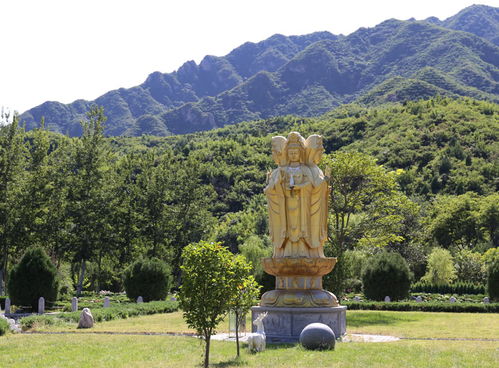公益性墓地选址原则,公益坟墓