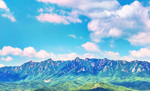 救命！五龙山的松鼠成精了会抢钱包